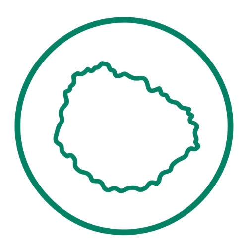 Tradición gomera